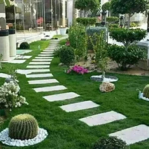 صيانة حدائق بالرياض
